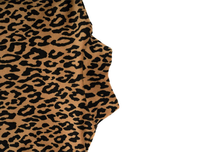 Leopard Long sleeve Shirt